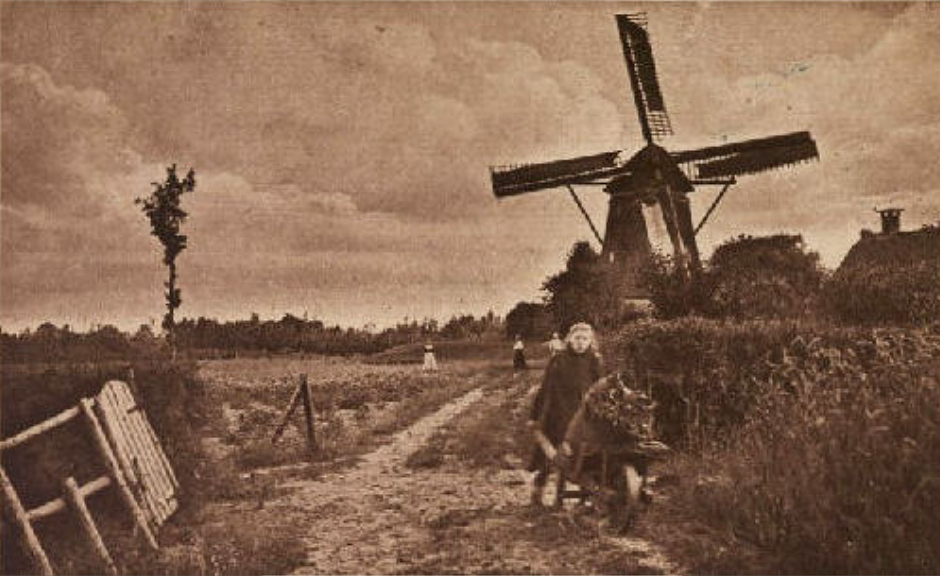 4, Molen 01790 bis Molen van Puijk (Blaricum), Ansichtkaart ca. 1920, uitg. Vos, Blaricum.Coll. Ron Manders | Database Nederlandse molens