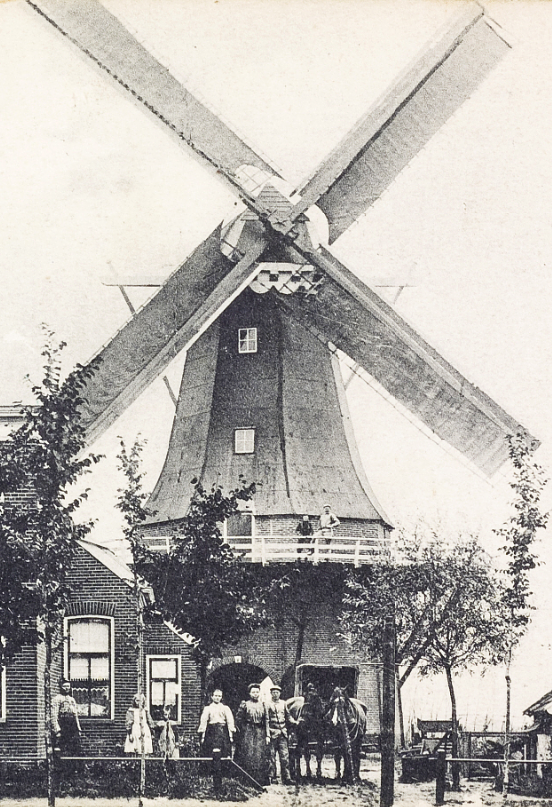 Molen 02742 Molen Salomons (Nieuw-Weerdinge), uitsnede van een ansichtkaart, coll. Jerry Vondeling | Database Nederlandse molens