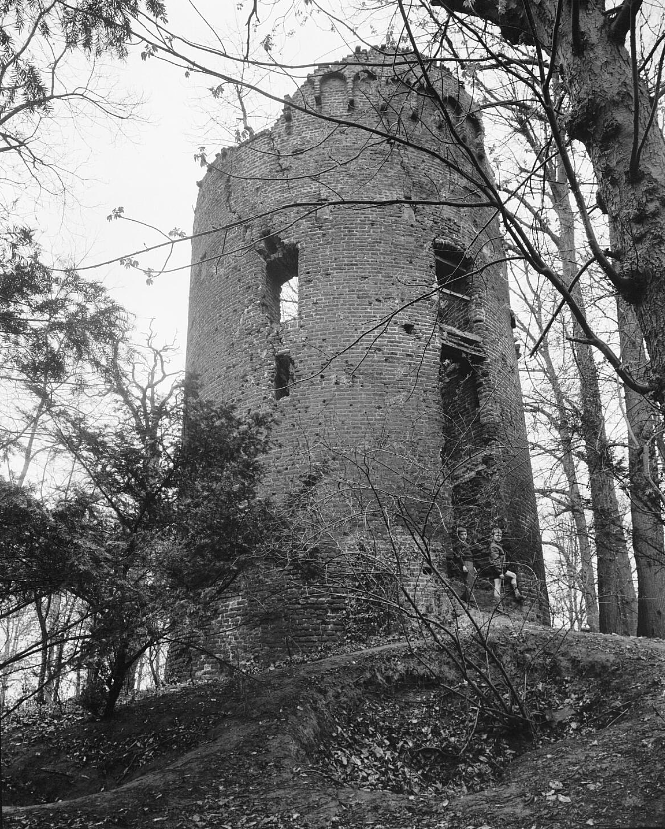 Molen 03908 b Molen van Kasteel Well (Well), Foto collectie Rijksdienst voor het Cultureel Erfgoed
Foto van Delemarre, G.Th, 04-1963 | Database Nederlandse molens