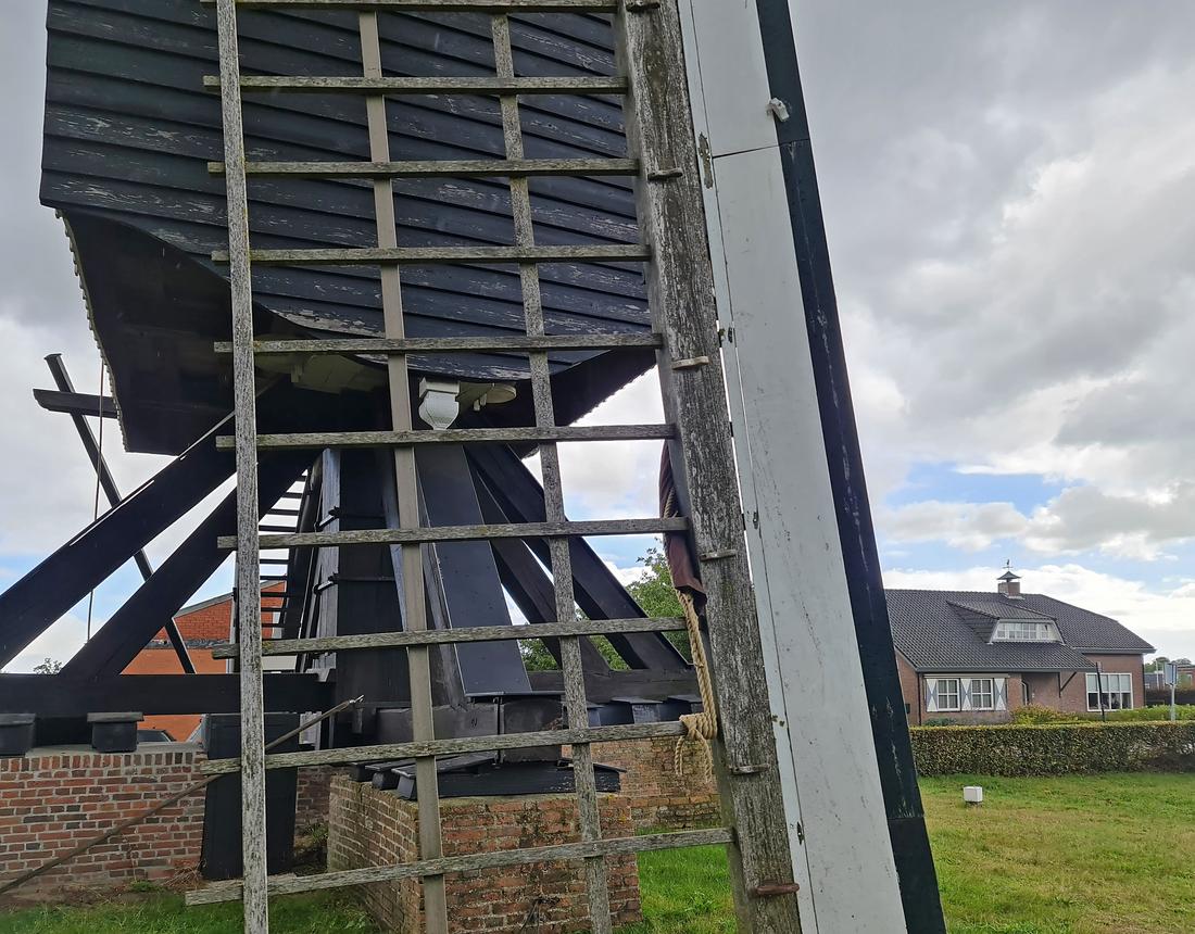 1, Roede g.n., De Jongh, Pieter Zuijkerbuijk (17-09-2022) | Database Nederlandse molens