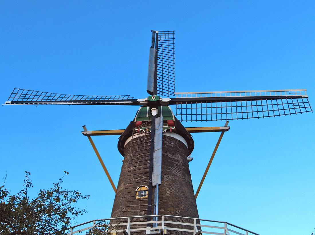 1, Molen 01660 De Koning (Middelburg), Oscar Mol (06-10-2026)De molen wachtend op nieuwen roeden. | Database Nederlandse molens
