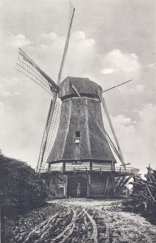 Molen 01015 Molen van Gerritsen (Okkenbroek), Ansichtkaart,&nbsp; collectie DHM | Database Nederlandse molens