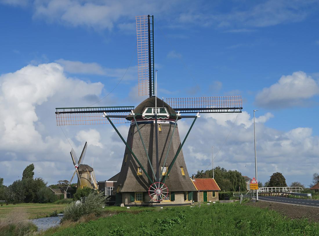 Molen 01536 Dijkmolen (Maasland), Erwin Esselink (10-10-2026)De Dijkmolen met het nieuwe gevlucht.Op de achtergrond korenmolen De Drie Lelies. | Database Nederlandse molens