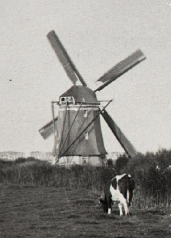 Molen 00936 d Polder de Honderd Morgen of Wilde Venen, Nr. 2middelmolen (Moerkapelle), Deel van foto collectie DHM | Database Nederlandse molens