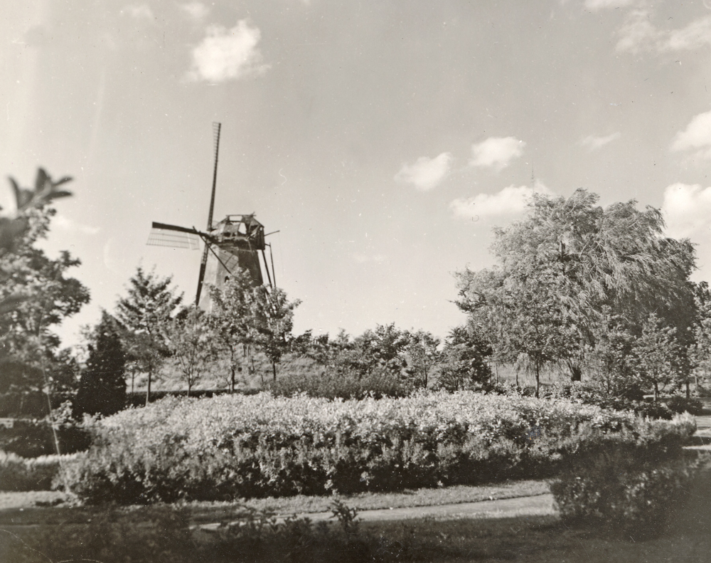 10, Molen 01416 Walmolen / Molen op bastion Generaliteit (Sas van Gent), Foto dd 1945, gekregen van Robert Szabo, Taken by my father Julius Szabo, 995th Port Signal Service Company during WWII. Toelichting: Nothing special but on the back my father wrote it was taken at Sas Van Gent.
&nbsp; | Database Nederlandse molens
