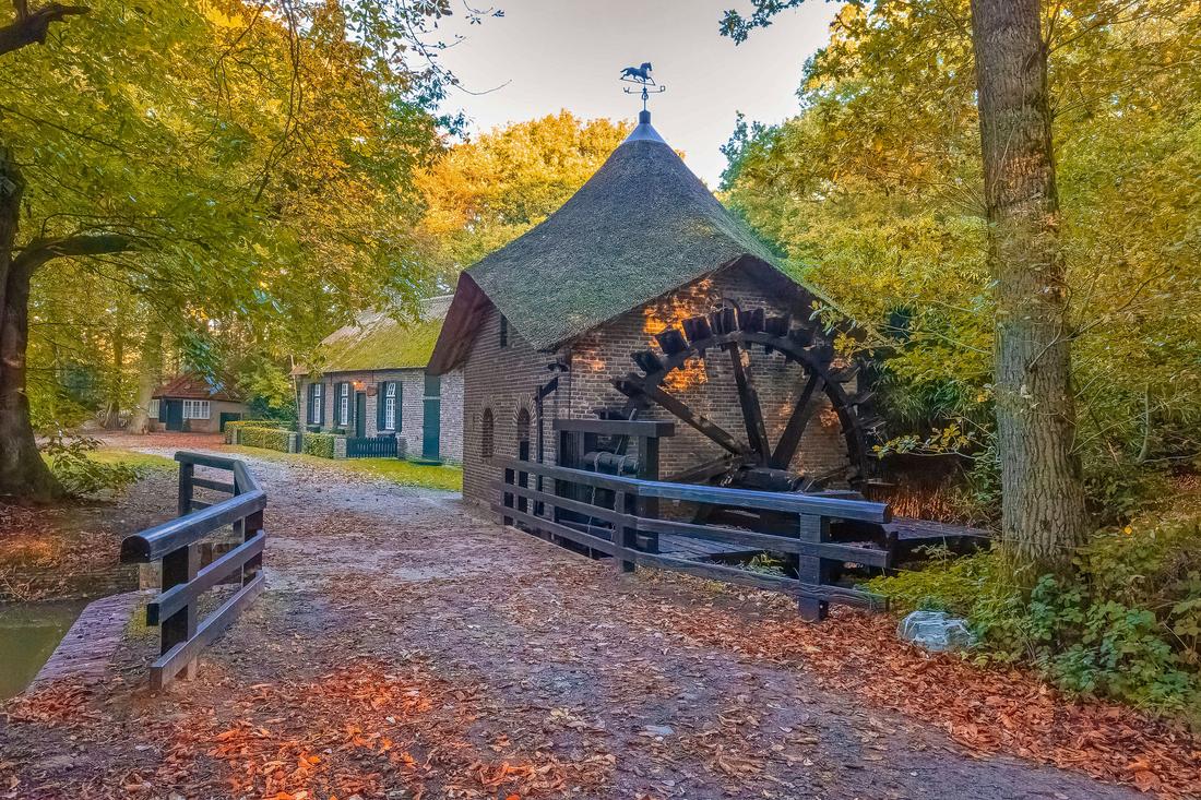 Molen 03905 De Rosmolen (Geysteren), Piet Grasmaijer (12-10-2026)De Rosmolen op zijn mooist: in herfstkleuren. | Database Nederlandse molens