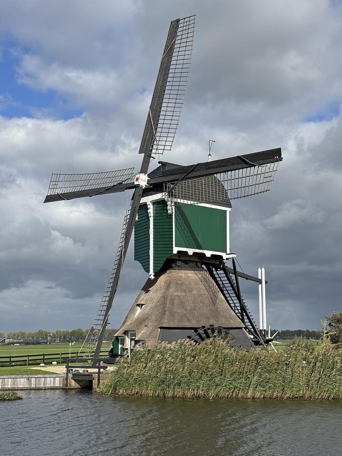 Molen 01486 Achterlandse Molen (Groot-Ammers), Mark Dwarswaard (11-10-2026)De kleurstelling van de molen is met de schilderbeurt teruggebracht naar de tijd dat de molen buiten gebruik is gesteld. In 2025 is na ca. 50 jaar ook het rietdek vervangen. | Database Nederlandse molens