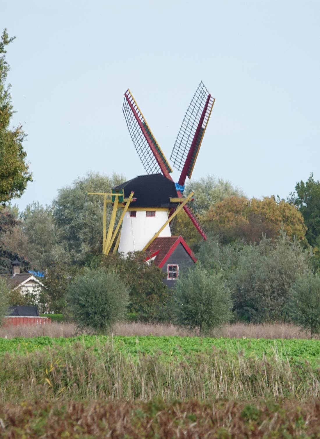 6, Molen 03558 't Welvaaren van Grijpskerke (Grijpskerke), Foto van Michel Dellebeke (03-10-2026) | Database Nederlandse molens