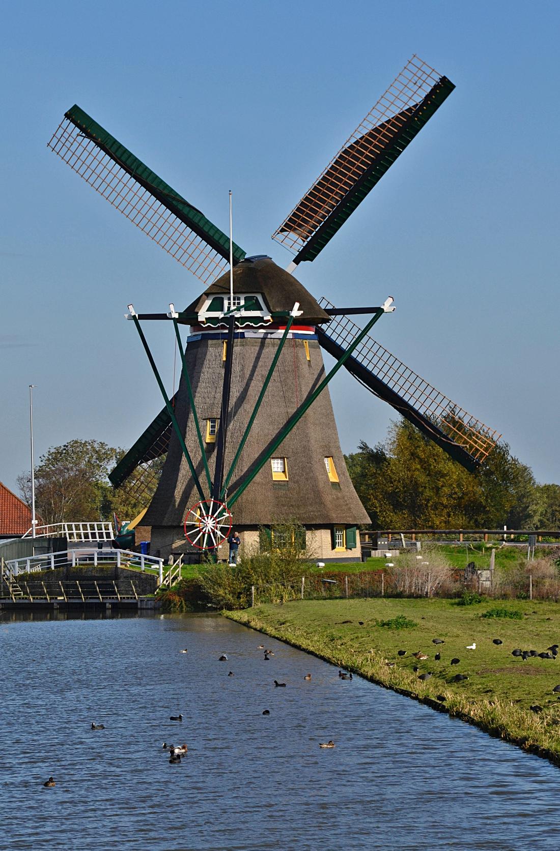 1, Molen 01536 Dijkmolen (Maasland), Rob Pols (20-10-2026) | Database Nederlandse molens