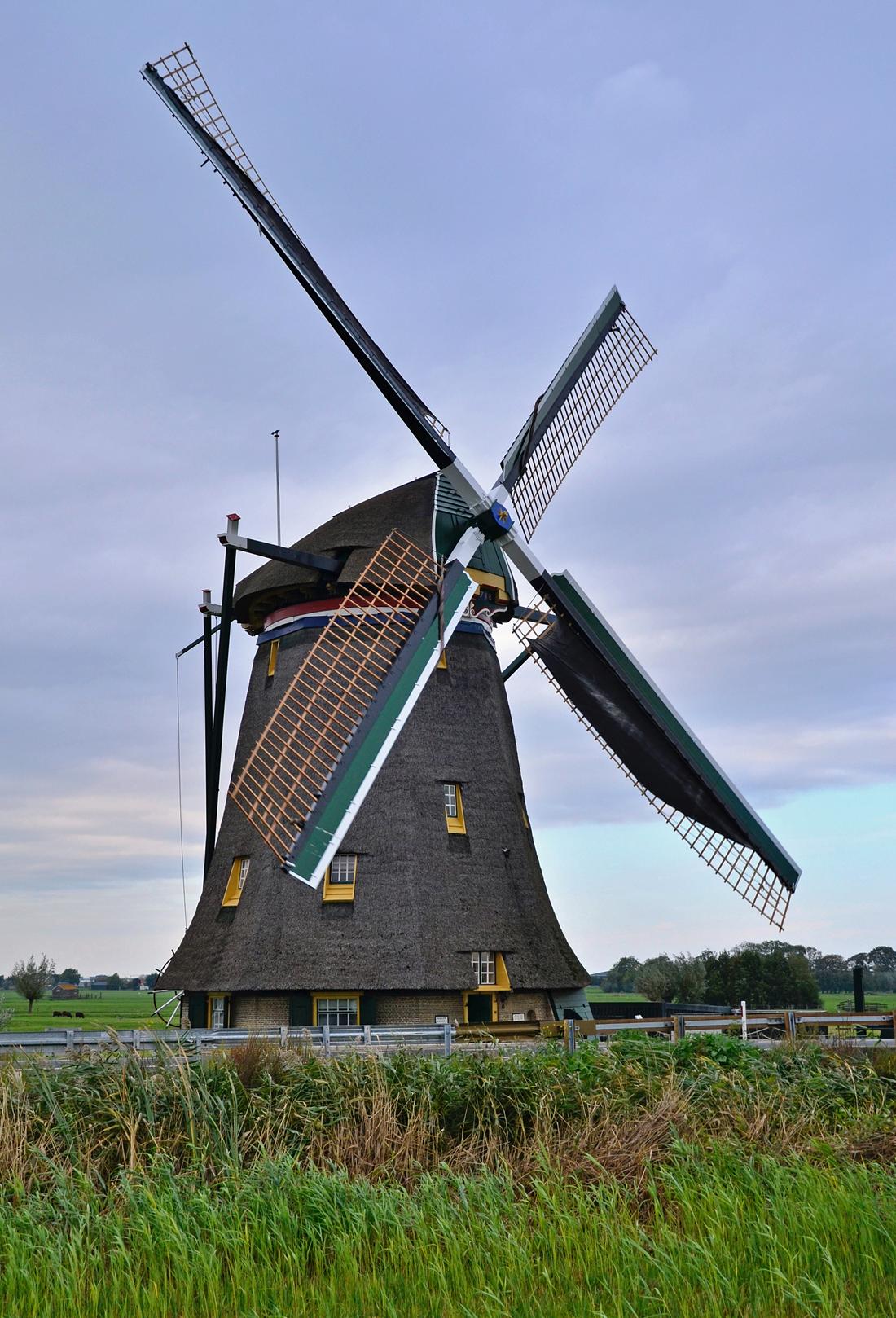 Molen 01536 Dijkmolen (Maasland), Rob Pols (20-10-2026)De molen draait nu met zijn nieuwe gevlucht. | Database Nederlandse molens