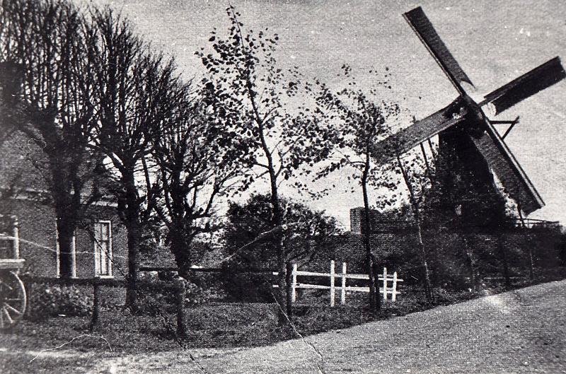5, Molen 04906 J'Attendrai / Horror Vacui / Molen van Noordgouwe (Noordgouwe), Foto coll. DVM | Database Nederlandse molens