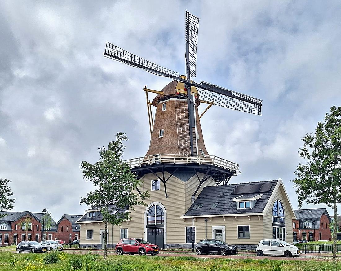 1, Molen 13011 De Goede Verwachting (Den Helder), Harmannus Noot (03-06-2026)De molen schuin van rechts gezien, omgeven door nieuwe woningen in 19e eeuwse stijl. | Database Nederlandse molens