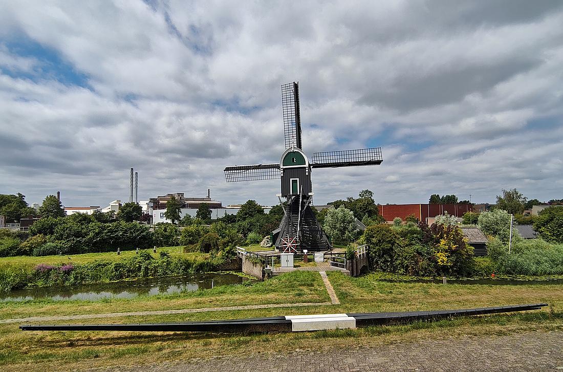 1, Molen 01212 Ter Leede (Leerdam), Maarten van Scheppingen (09-07-2026)Op de voorgrond liggen nieuwe roeden, die spoedig gestoken zullen worden. | Database Nederlandse molens