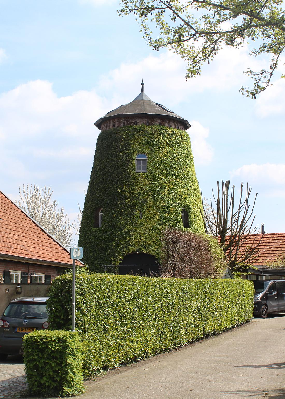 Molen 02596 De Wachter / Molen Theeuwes / Victor (Baarle-Nassau), Foto van Denis van Cronenburg, (30-04-2023) | Database Nederlandse molens