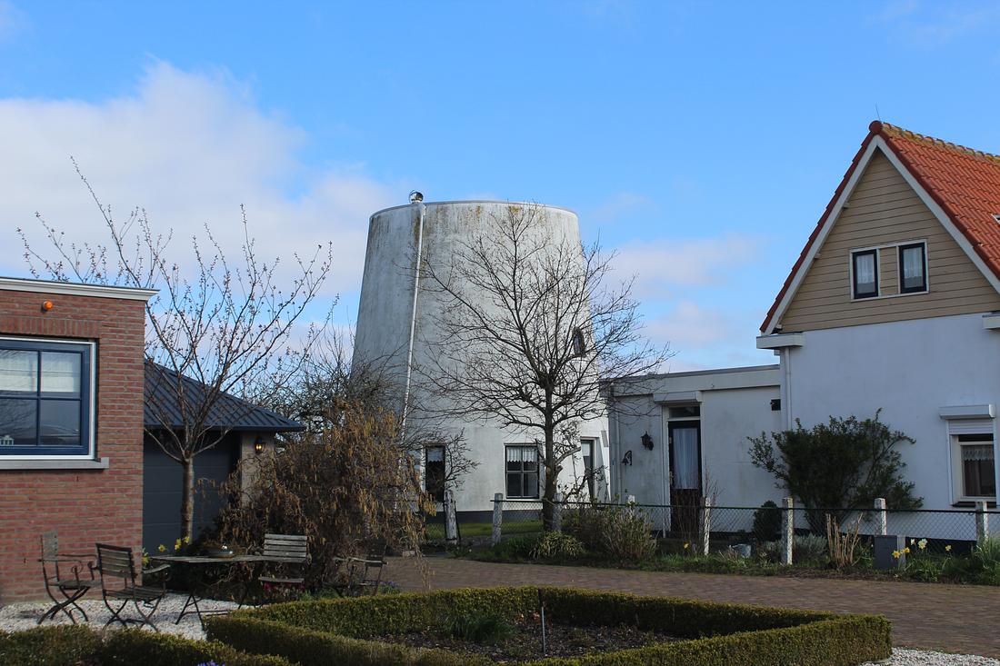 Molen 01539 Blaker- of Oude Lierpolder, Oude Liermolen (3e) (De Lier), Foto van Denis van Cronenburg, 2 april 2023 | Database Nederlandse molens