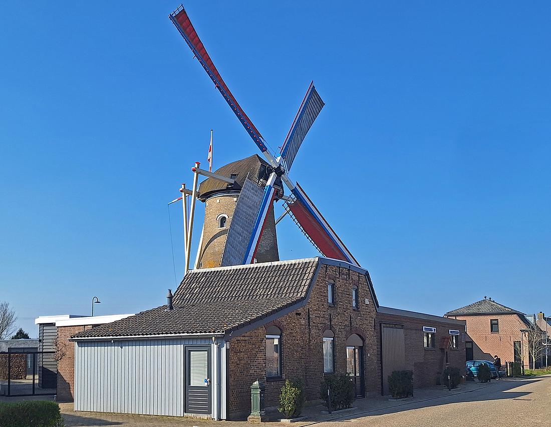 1, Molen 02593 De Hoop (Den Hout), Jay Verkerk (22-03-2026)De molen met de bijgebouwen van de straatkant gezien. | Database Nederlandse molens