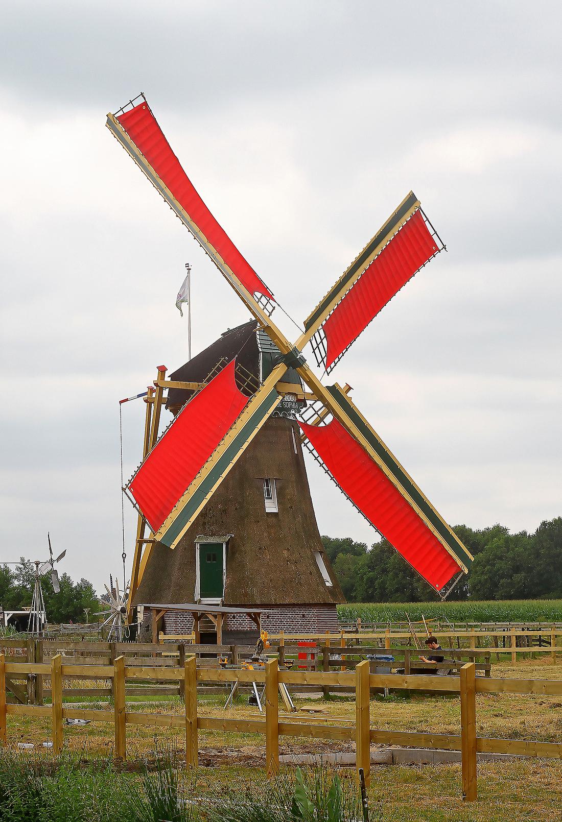 Molen 10215 De Jonge Sophia (Groot-Ammers), Ton Koorevaar (17-07-2026) | Database Nederlandse molens