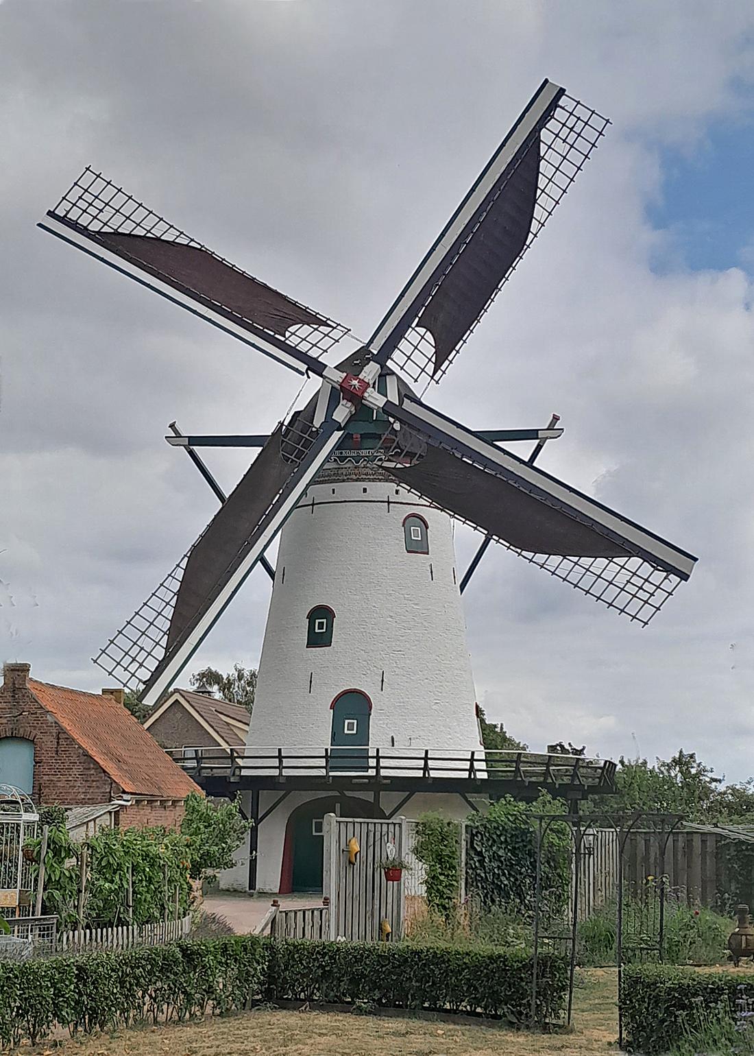 Molen 03533 De Korenbloem (Scherpenisse), Gene van Hermon (18-07-2026) | Database Nederlandse molens