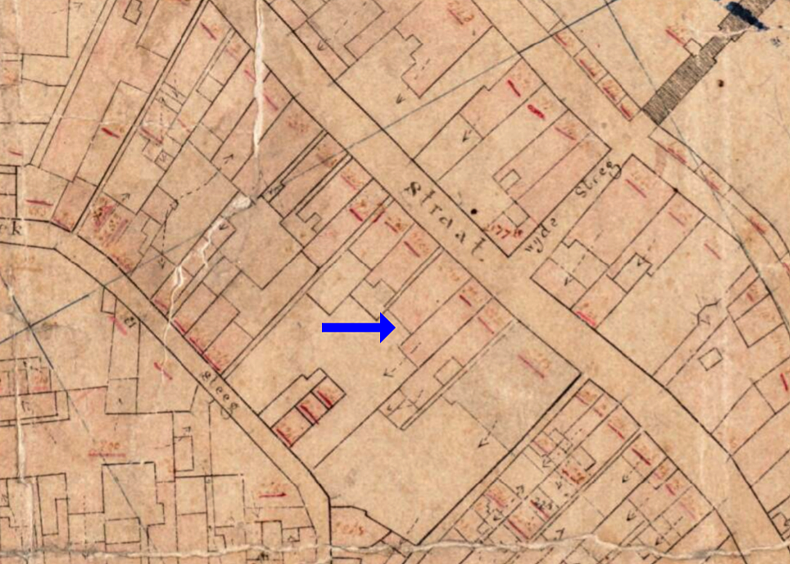 Molen Grutterij Het Wapen van Rotterdam (Haarlem), Kadastrale kaart 1811-1832: minuutplan Haarlem, Noord-Holland, sectie D, blad 01&nbsp; | Database Nederlandse molens