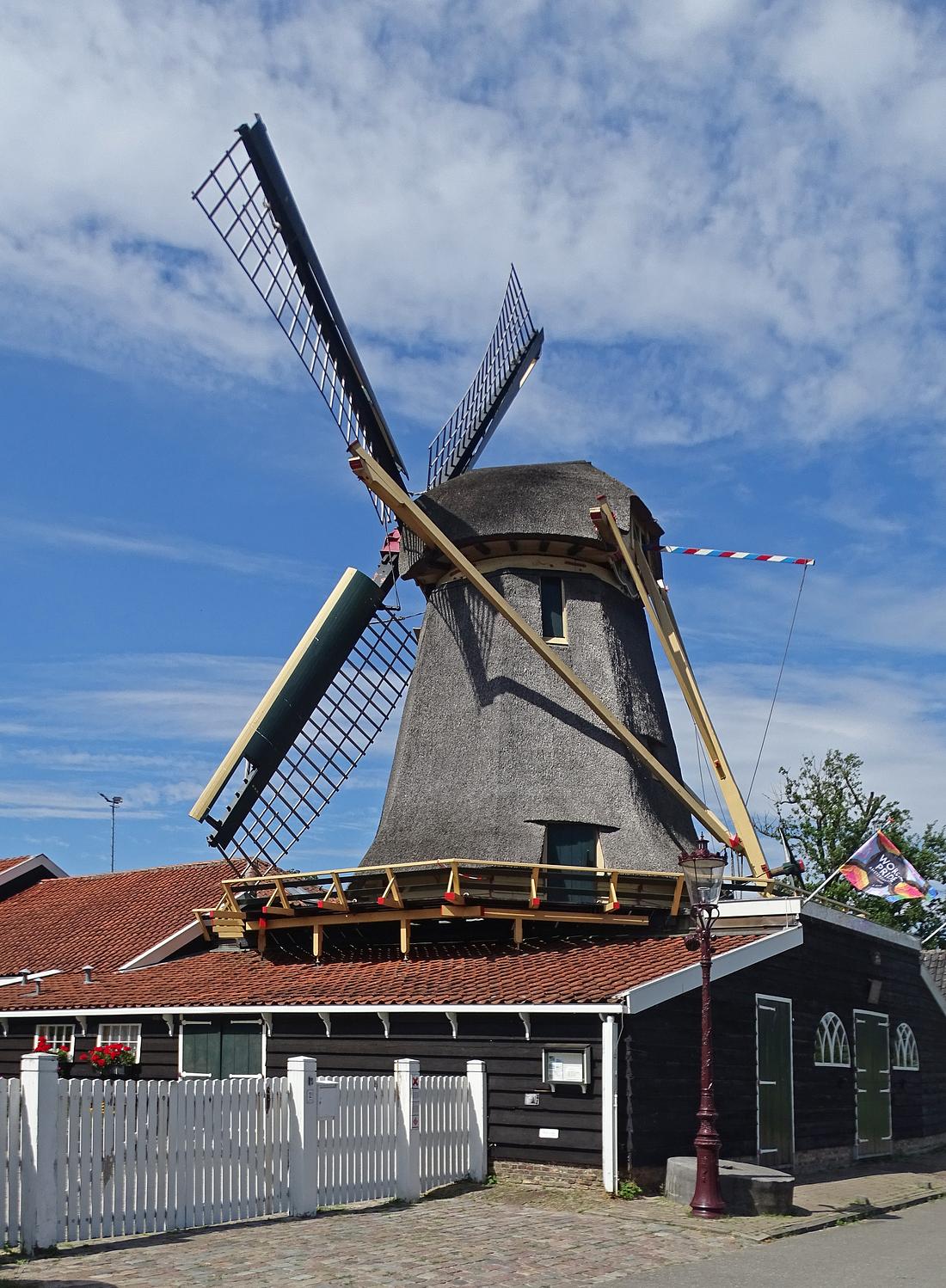 Molen 00238 D'Admiraal (Amsterdam-Buiksloot), Martin E. van Doornik (25-07-2026)d'Admiraal draaiend te zien. | Database Nederlandse molens