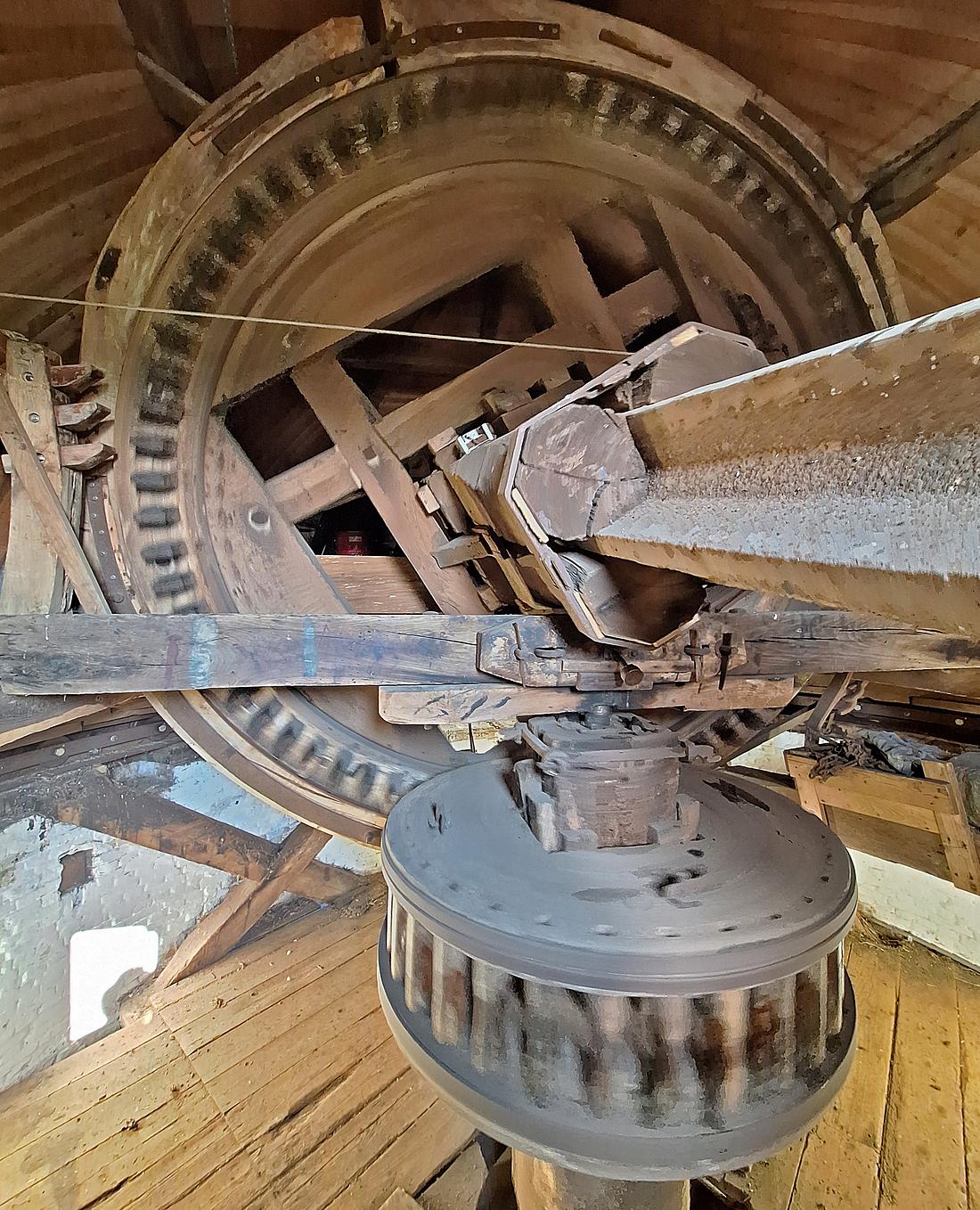 24, Molen 02593 De Hoop (Den Hout), Jay Verkerk (22-03-2026) | Database Nederlandse molens