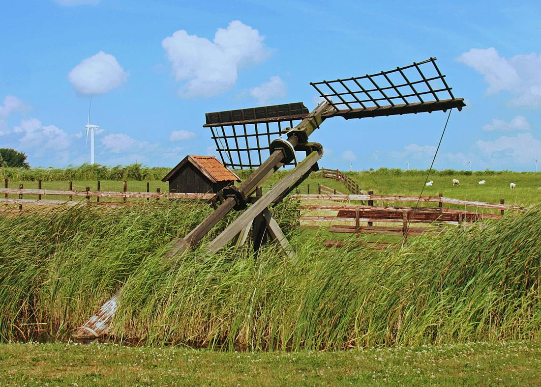 5, Molen 10017 De Izeren Koe (Allingawier), Denis Van Cronenburg (29-07-2013) | Database Nederlandse molens
