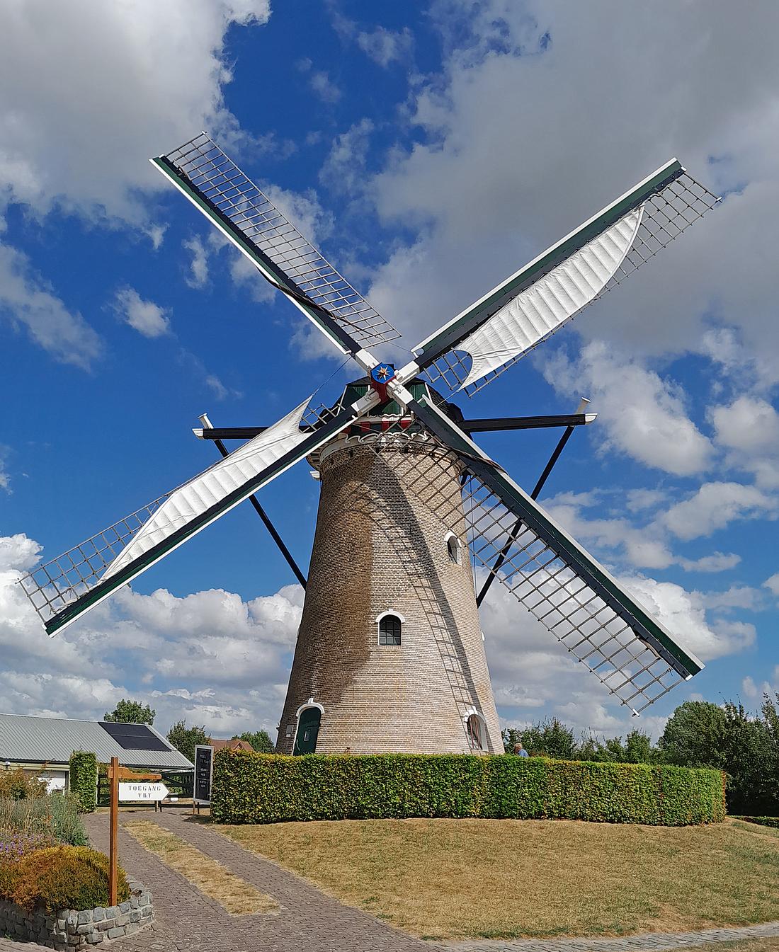 Molen 01670 (Naamloos) (Nieuwvliet), Bram de Groote (05-08-2026) | Database Nederlandse molens