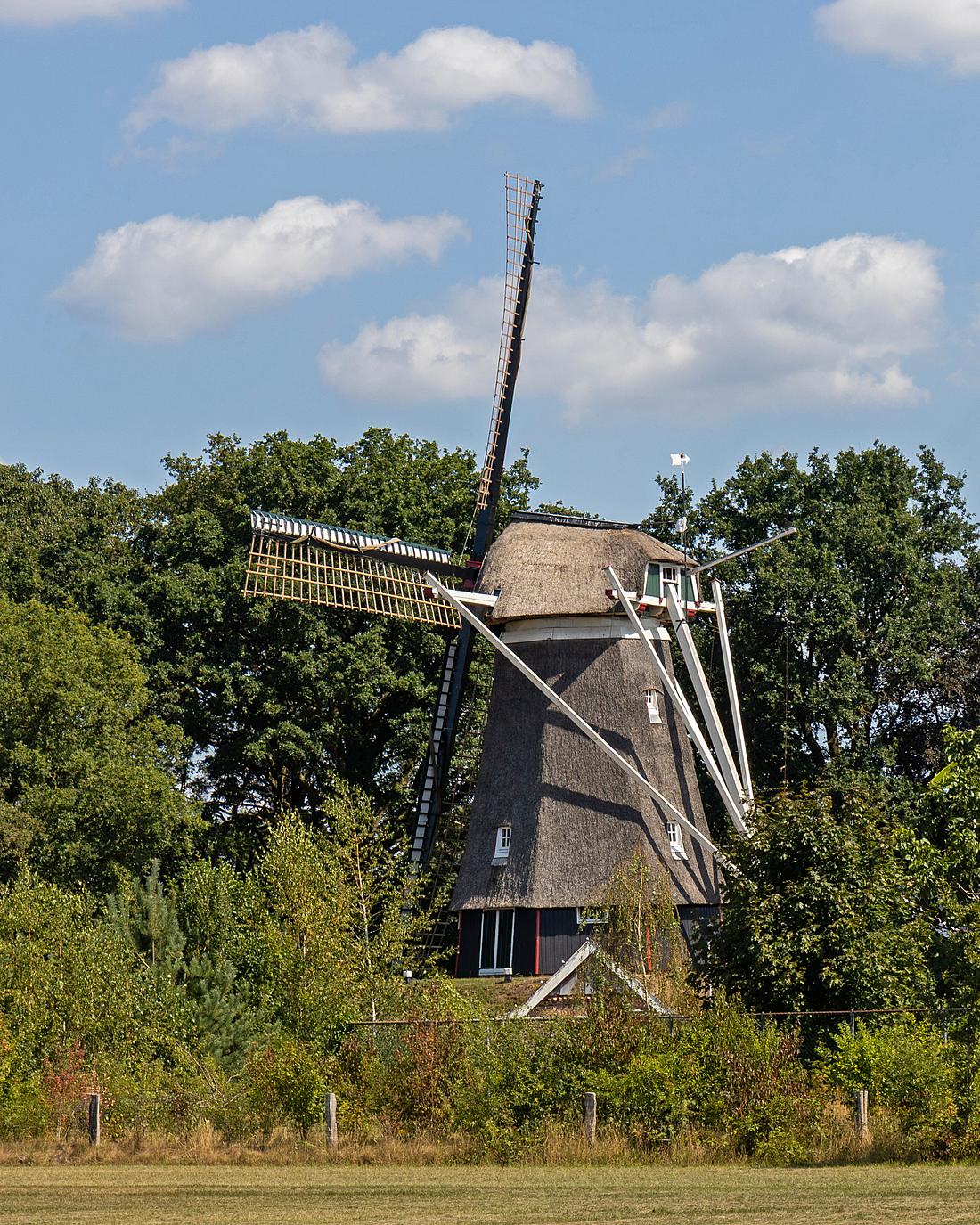 2, Molen 12172 Westerveld Möl (Tilligte), Hans Gouman (02-08-2026)Gezien vanaf de Frensdorferweg in Tilligte. | Database Nederlandse molens