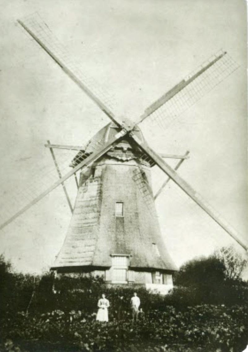 Molen Zoekplaatje 24 opgelost (Zevenhuizen),  | Database Nederlandse molens