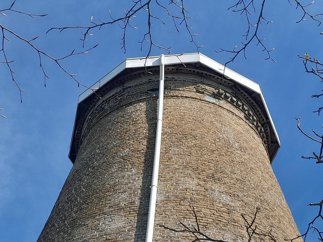 12, Molen 04199 d L'Ordre (Lamswaarde), Bram de Groote, 12 augustus 2026 | Database Nederlandse molens