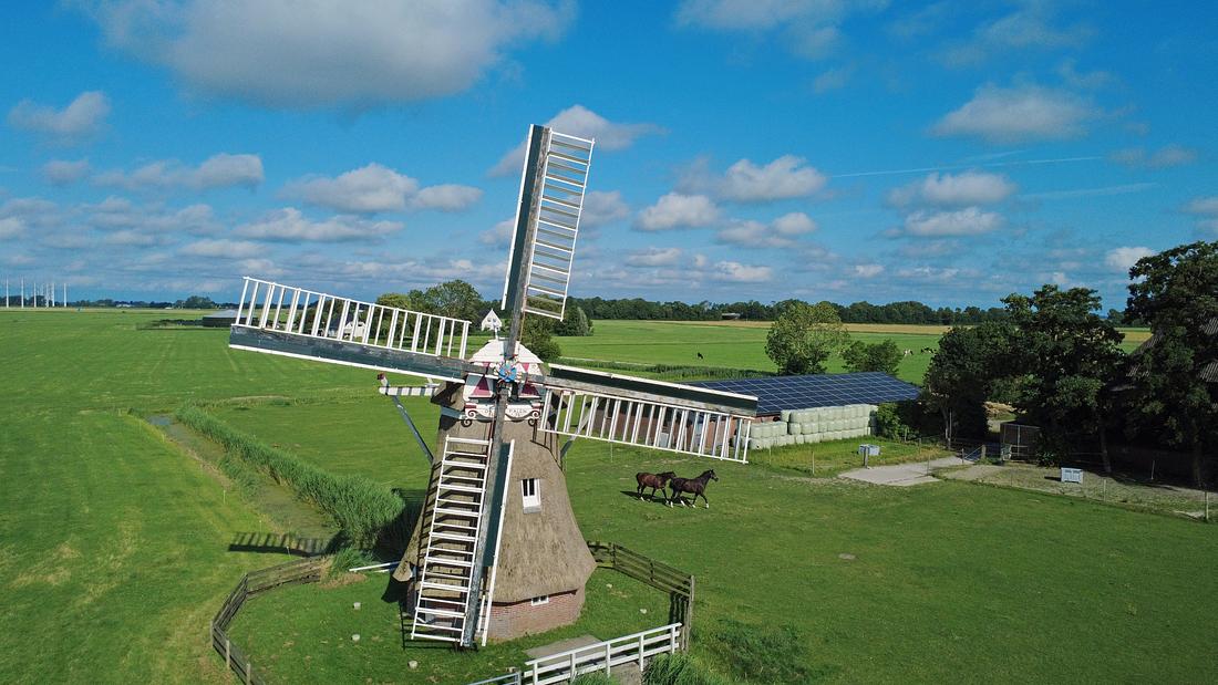 3, Molen 00445 De Palen (Westerwijtwerd), Robert Swijghuizen (09-07-2026) | Database Nederlandse molens
