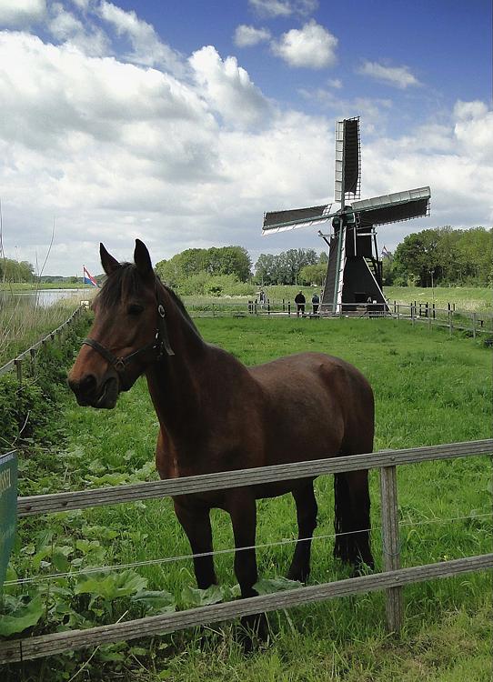 media-bestand