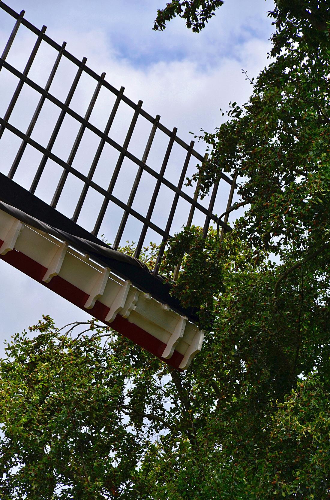 7, Molen 02843 Jacobus (Vessem), Rob Pols (06-08-2026)De naast de molen staande grote beuk zorgt zichtbaar voor bewegingsbelemmering!&nbsp;&nbsp; | Database Nederlandse molens