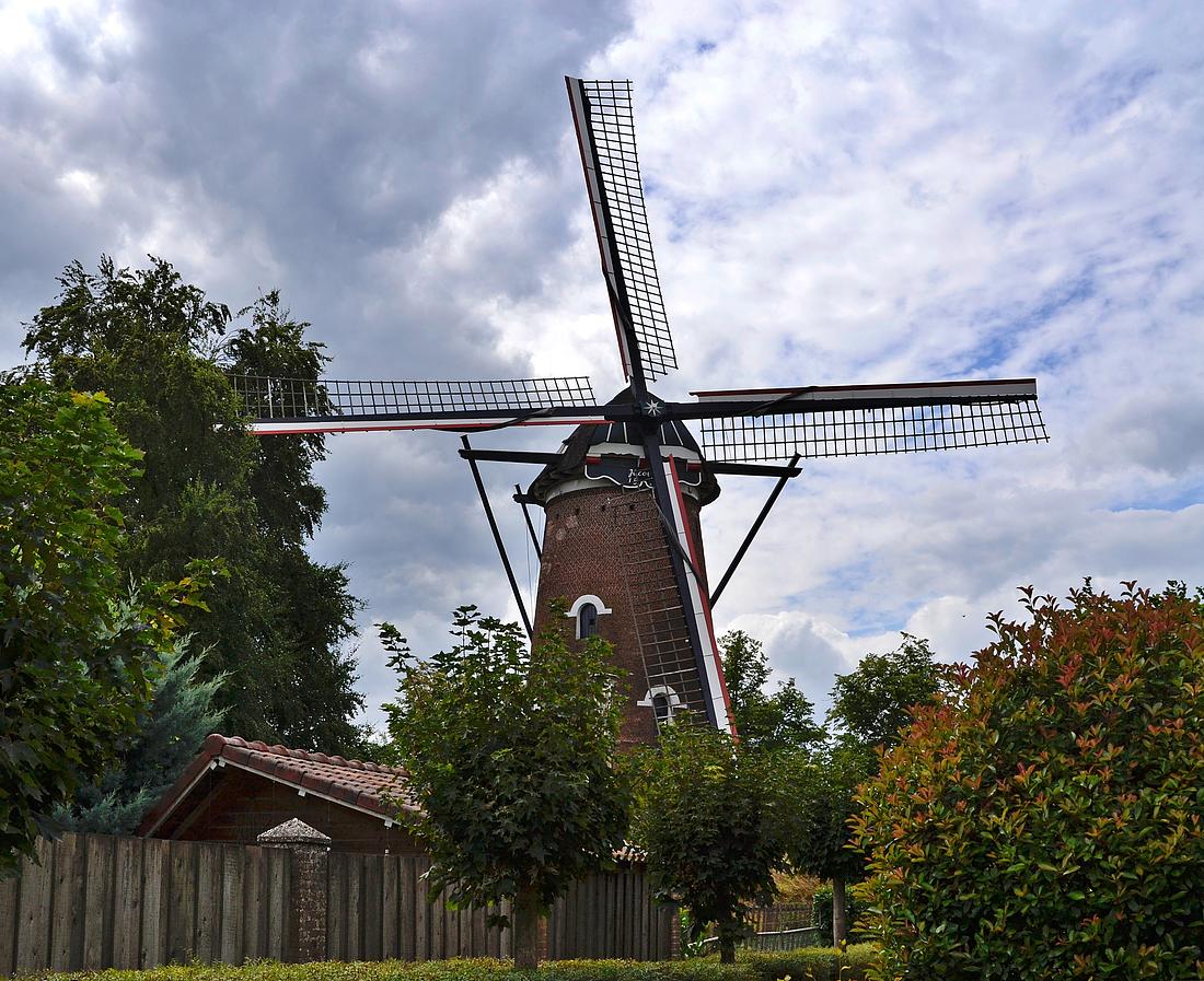 2, Molen 02843 Jacobus (Vessem), Rob Pols (06-08-2026)Een foto vanuit een wat ongebruikelijker hoek. Links de grote beuk (zie tekst). | Database Nederlandse molens