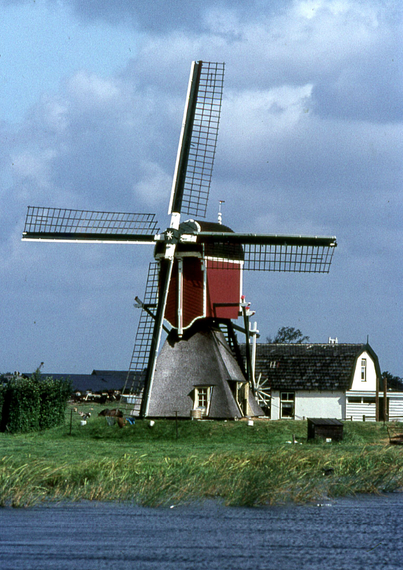 Molen 02489 Bospolder, Bosmolen (Leiderdorp), Foto collectie DHM, opname september 1968 | Database Nederlandse molens