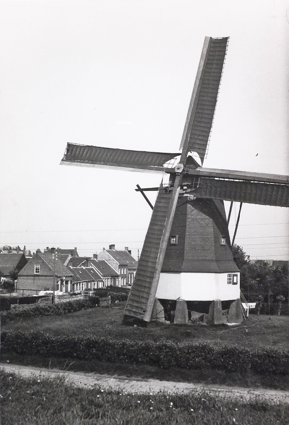 Molen 03327 De Hoop / De Goede Hoop (Hoofdplaat), afbeelding rond 1926, collectie DHM | Database Nederlandse molens