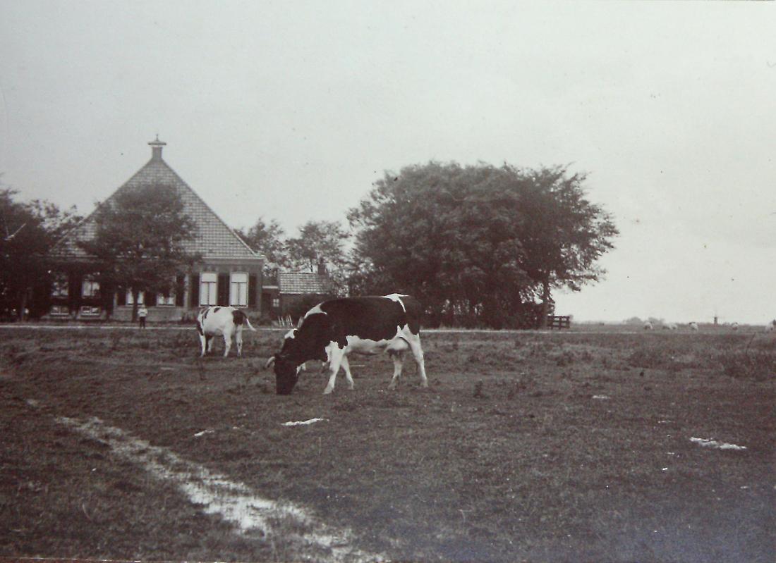 1, Molen 03783 Polder 50 (Leeuwarden/ Ljouwert), Frans Kraak (26-08-2026)Collectie uit het familiealbum. Foto genomen in 1922.Voorkant van de nog bestaande boerderij Wergeasterdyk 64 bij Goutum, waarachter de spinnekop stond. Rechts in de verte een andere spinnekop, vermoedelijk Tenbruggencatenummer 03782. | Database Nederlandse molens