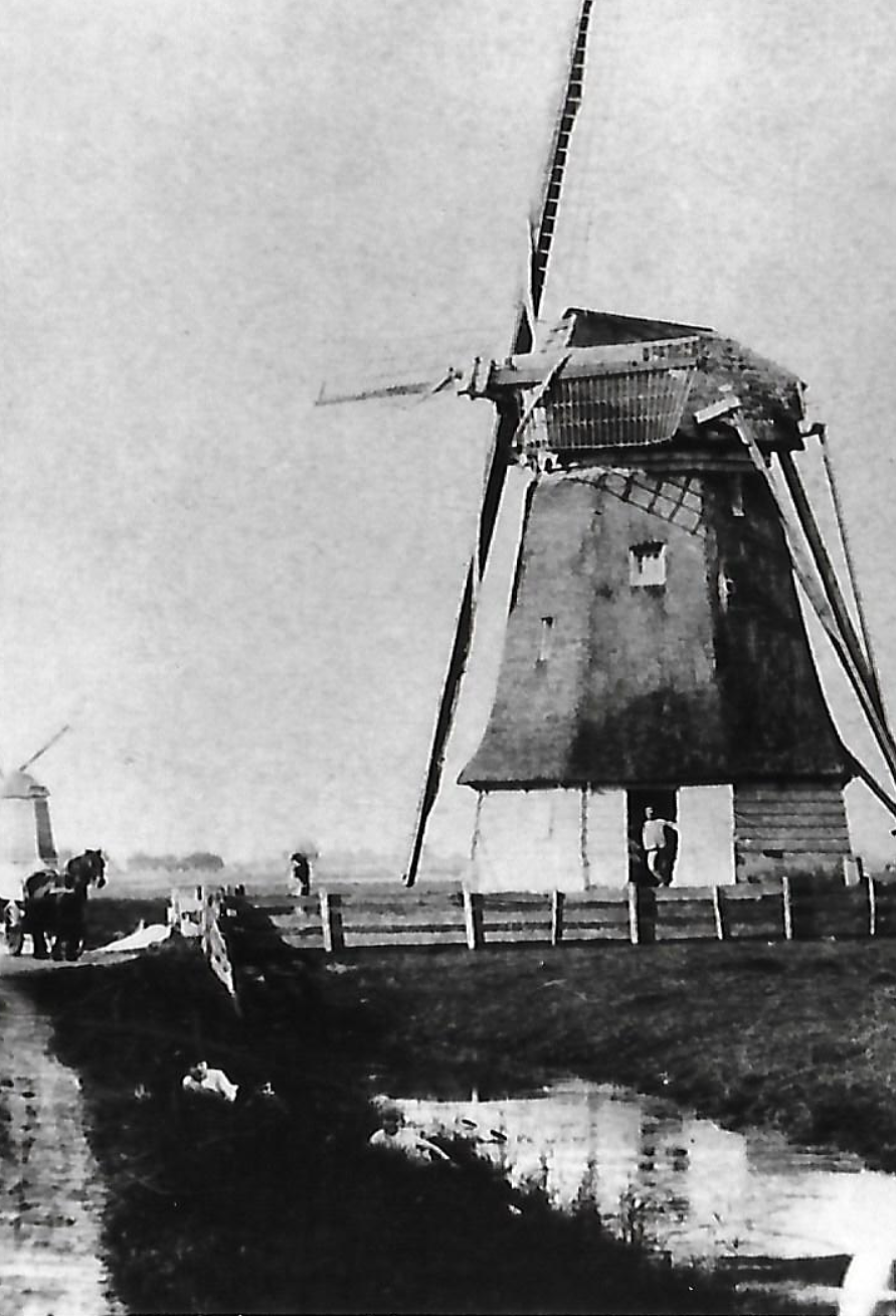 Molen 06657 g Meelmolen van Herwerden (2e voorganger) (Nieuwe Niedorp), foto opname 1911 circa, bij de deur staat molenaar J.L. van Herwerden | Database Nederlandse molens