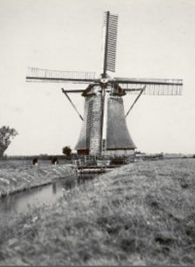 Molen 00462 Polder Winsumer en Bellingeweerster Meeden, Oom Paul (Winsum), uitsnede van grotere afb. coll. DHM | Database Nederlandse molens
