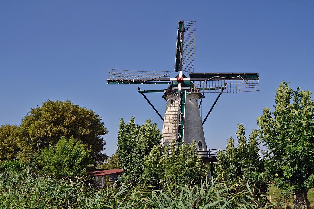 2, Molen 01872 De Jager (Oud-Vossemeer), Rob Pols (26-08-2026)De molen is een echte blikvanger vanuit de wijde omgeving, toch moet de omliggende begroeiing in de gaten worden gehouden. | Database Nederlandse molens