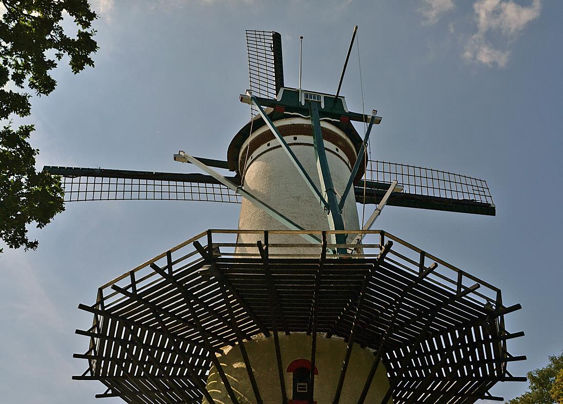 4, Molen 03527 De Hoop (Tholen), Rob Pols (06-08-2026)De molen met het nieuwe gevlucht. De achterkanten van de voorzomen zijn naar historisch voorbeeld egaal van kleurstelling, zoals verschillende Zeeuwse molens dat inmiddels weer hebben. | Database Nederlandse molens
