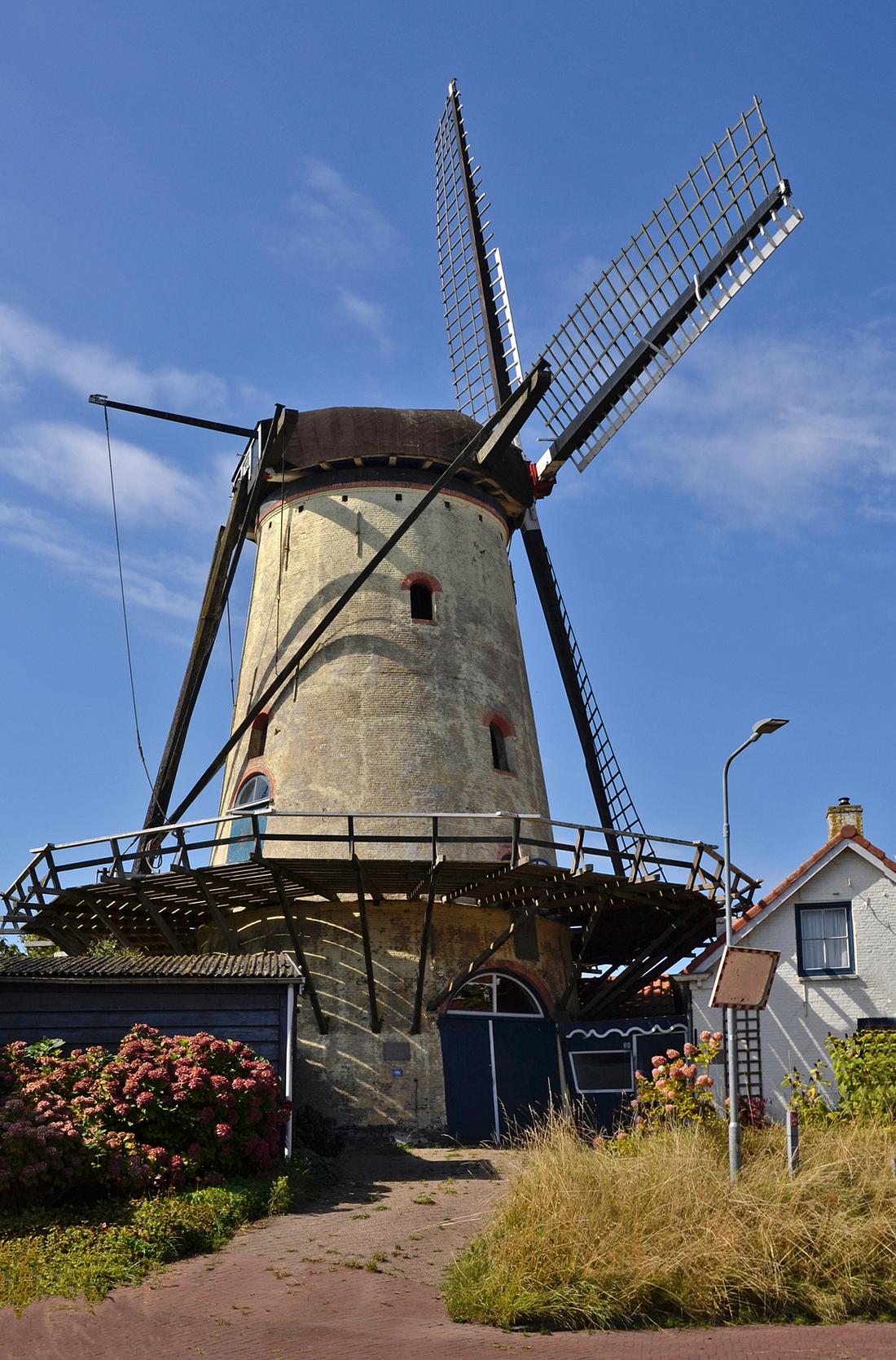 Molen 03530 De Korenaar (Poortvliet), Rob Pols (26-08-2026)De stand van zaken in de zomer van 2026: de molen staat er alweer wat verkommerd bij.De molenmaker gaat naar verluidt binnenkort aan de slag voor een grote restauratie. | Database Nederlandse molens