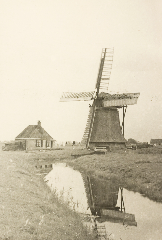 Molen 03735 Arumer Miedpolder, Triolum (Lollum), Foto collectie DHM | Database Nederlandse molens