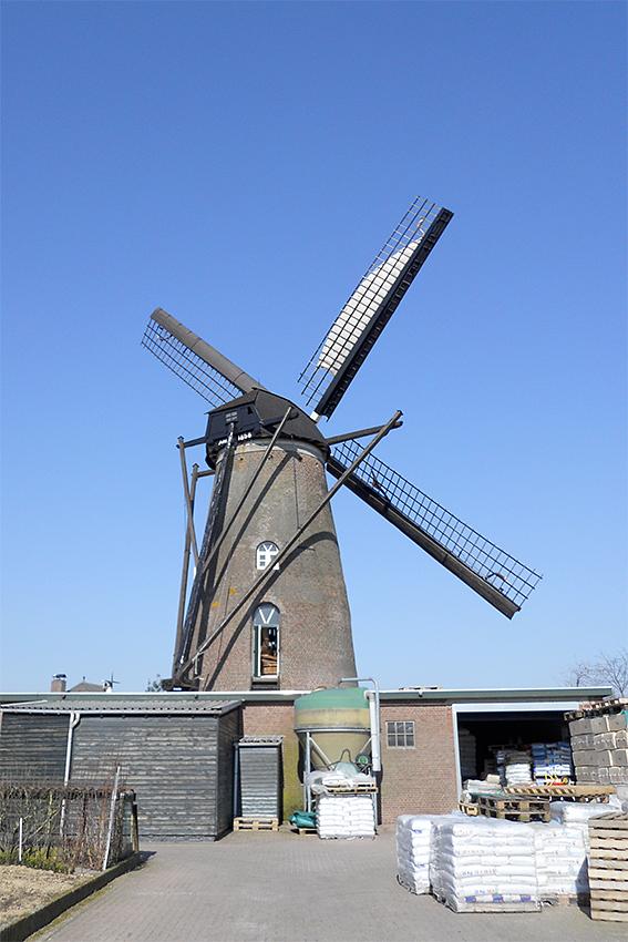 2, Molen 02858 Zeldenrust (Budel), Rob Simons (10-3-2010) | Database Nederlandse molens media-bestand