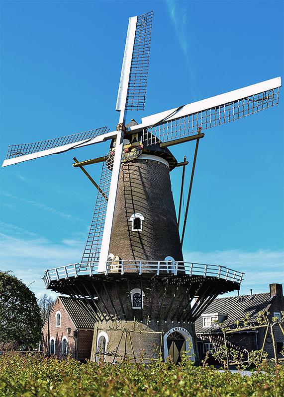 Molen 02616 De Korenaar (Oirschot), Roelof Kluijtmans (21-4-2016) | Database Nederlandse molens media-bestand
