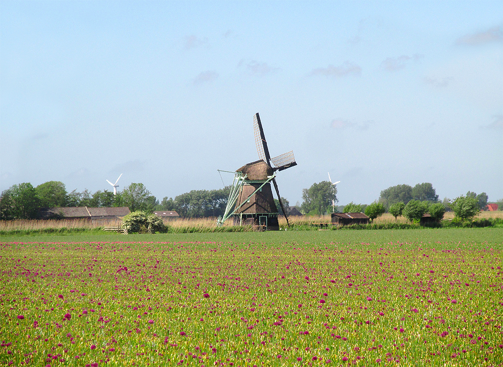 4, Molen 02552 Molen P (Oudesluis), Piet Glasbergen (25-5-2017) | Database Nederlandse molens media-bestand