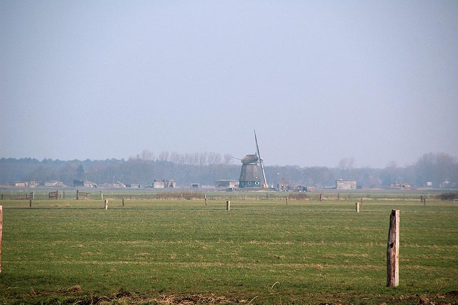 media-bestand