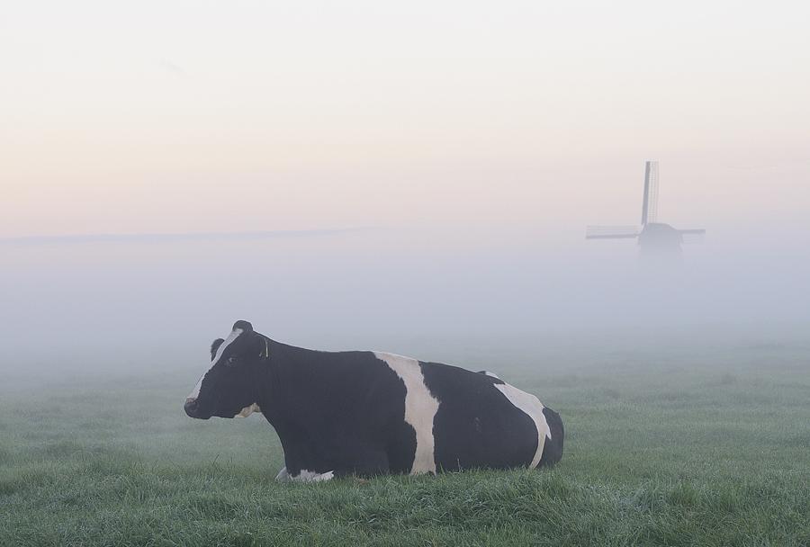 5, Molen 00122 Ondermolen O (Ursem), Chris van Gijs (8-10-2013). | Database Nederlandse molens media-bestand