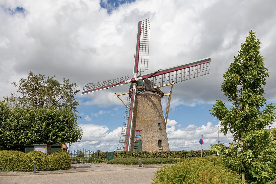 1, Molen 01896 d'Oranjeboom (Nieuwe-Tonge), Bram van Broekhoven (28-07-2020) | Database Nederlandse molens media-bestand