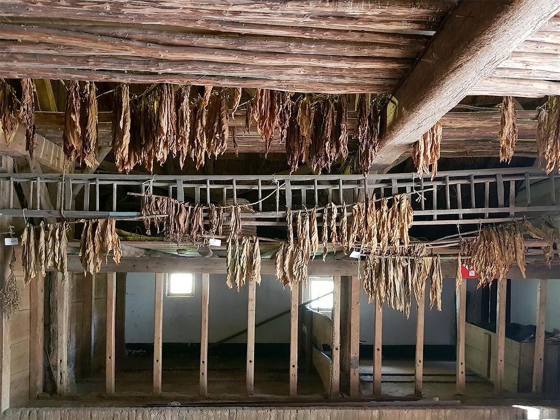 3, Molen 15471 Hondenmolen uit Varik (Arnhem), Pieter Zuijkerbuijk (18-10-2018) | Database Nederlandse molens media-bestand